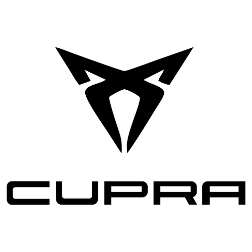 AutoSock is recognized and approved according to internal standards of Cupra